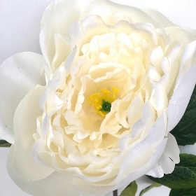 Ivory Peony 64cm