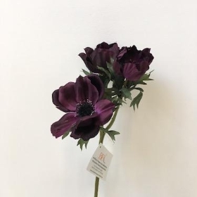 Anemone Plum 45cm