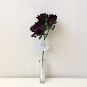 Anemone Plum 45cm