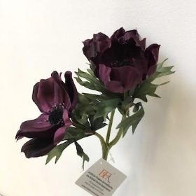 Anemone Plum 45cm