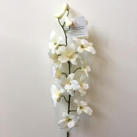 Ivory Dendrobium Orchid 82cm