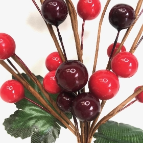 Cranberry Berry Pick 23cm