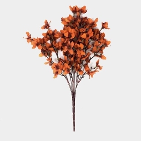 Orange Autumn Blossom Bush 50cm