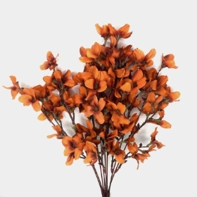 Orange Autumn Blossom Bush 50cm