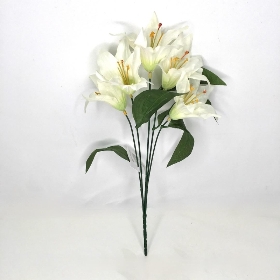 White Lily Bush 36cm