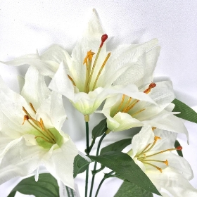 White Lily Bush 36cm