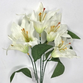 White Lily Bush 36cm