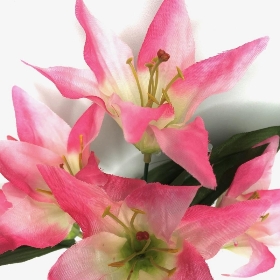 Pink Lily Bush 36cm