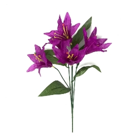 Purple Lily Bush 36cm