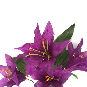 Purple Lily Bush 36cm