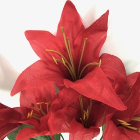 Red Lily Bush 36cm