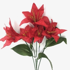 Red Lily Bush 36cm