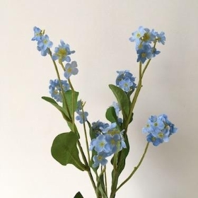 Forget Me Not Blue 30cm 