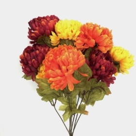 Mixed Autumn Chrysanthemum Bush 45cm