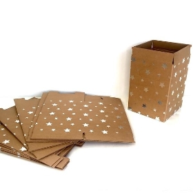 Kraft & Silver Star Flower Box x 10