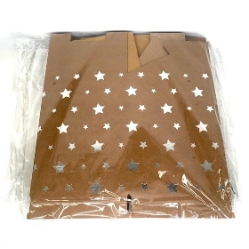Kraft & Silver Star Flower Box x 10