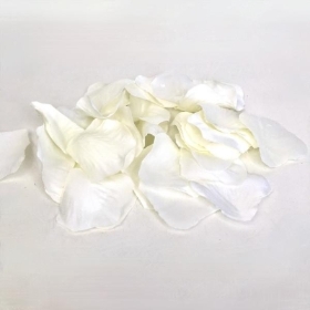 Ivory Rose Petals x 1000