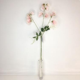 Pink Sweetpea 68cm