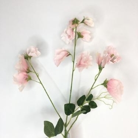 Pink Sweetpea 68cm