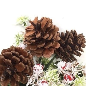 72 x Pinecone And Snowy Berry Pick 20cm