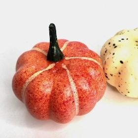 9 x Assorted Pumpkin Net