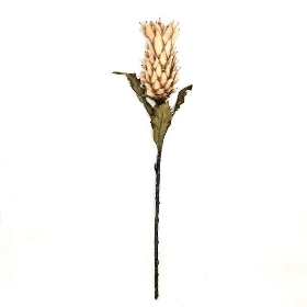 Caramel Dried Pineapple 80cm