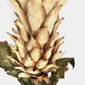 Caramel Dried Pineapple 80cm