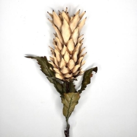 Caramel Dried Pineapple 80cm