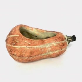Pumpkin Trough Planter 12cm
