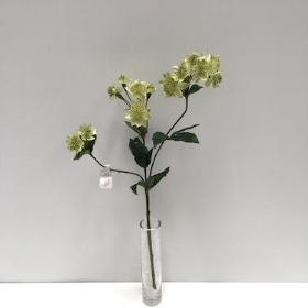 Green Astrantia 48cm