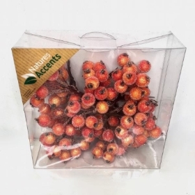 Orange Frosted Berry Box 12mm