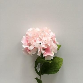 Hydrangea Dawn Pink 72cm