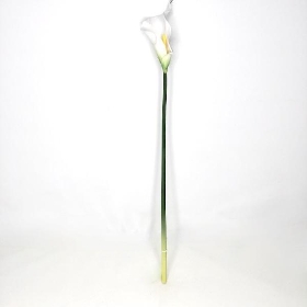 White Calla Lily 60cm