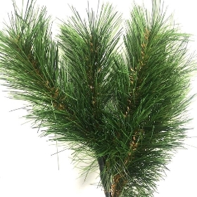 Spruce Spray 30cm