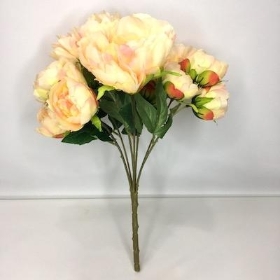 Peach Peony x 12 Heads