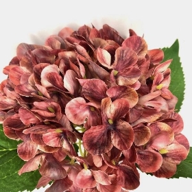 Vintage Hydrangea 48cm