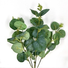 48 x Assorted Eucalyptus Bush 35cm
