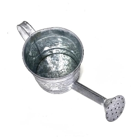 Leafy Vine Watering Can 17cm