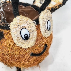 Hanging Bee Planter 28cm