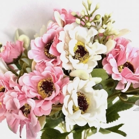 Pink Double Daisy Bush 33cm