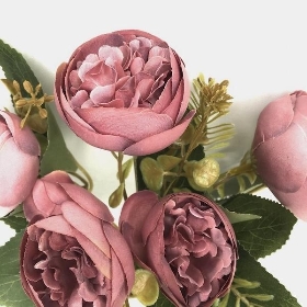 48 x Assorted  Open Peony Bush 28cm