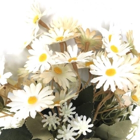 Ivory Vintage Mini Daisy Bush 34cm