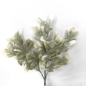 White Frosted Bayleaf Bush 33cm