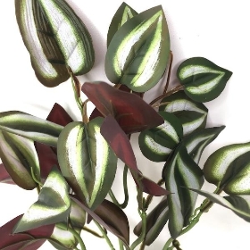 Green Tradescantia Zebrina Foliage 36cm