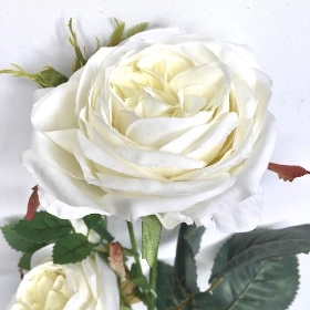 White Olivia Spray Rose 67cm