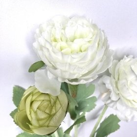 White Ranunculus 49cm