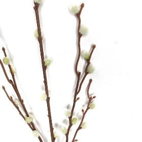 Pussy Willow 94cm