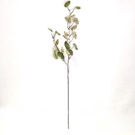 Green Eucalyptus Stem 100cm