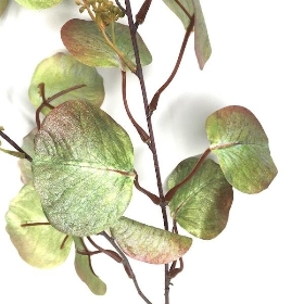 Green Eucalyptus Stem 100cm