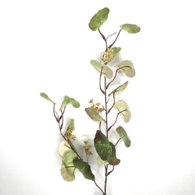 Green Eucalyptus Stem 100cm